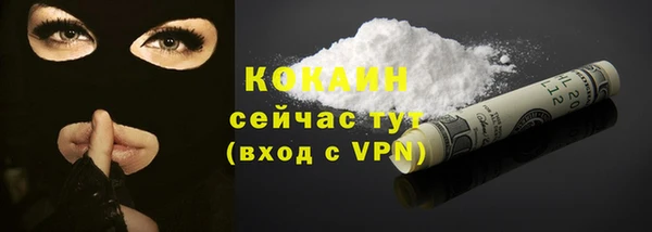 шишки Карталы