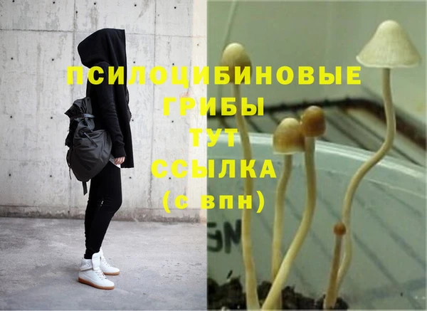 шишки Карталы