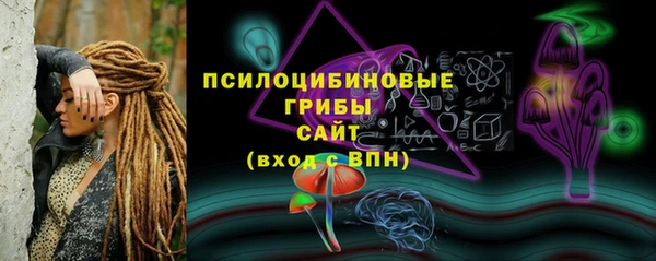 шишки Карталы