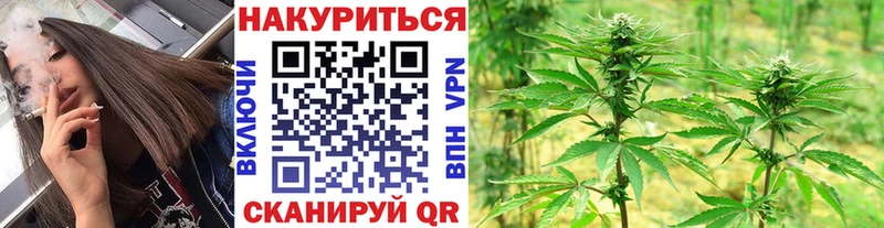 Купить где  Боровичи  Каннабис сатива 